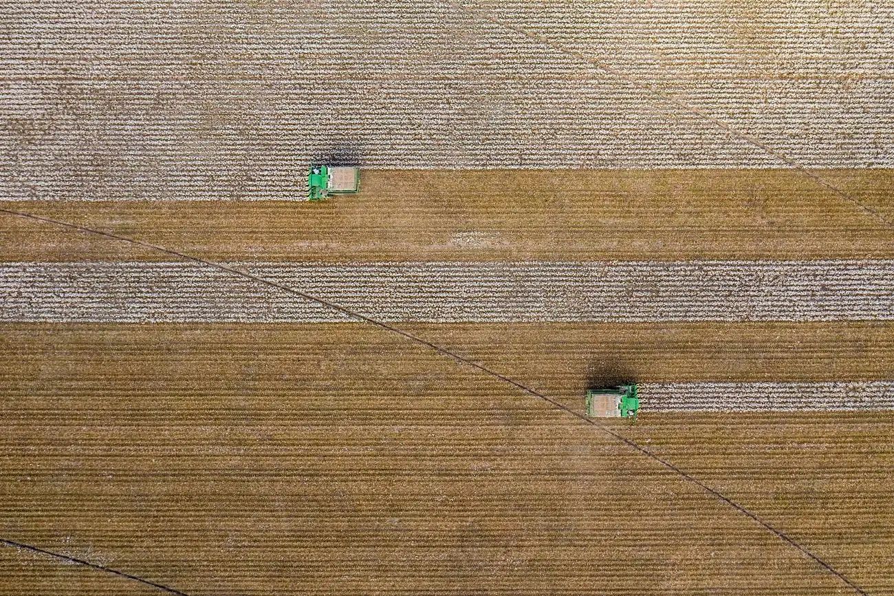 Vista aérea de un cultivo trabajado con maquinaria de precisión